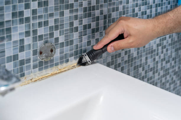 Best Mold Testing  in Mill City, OR